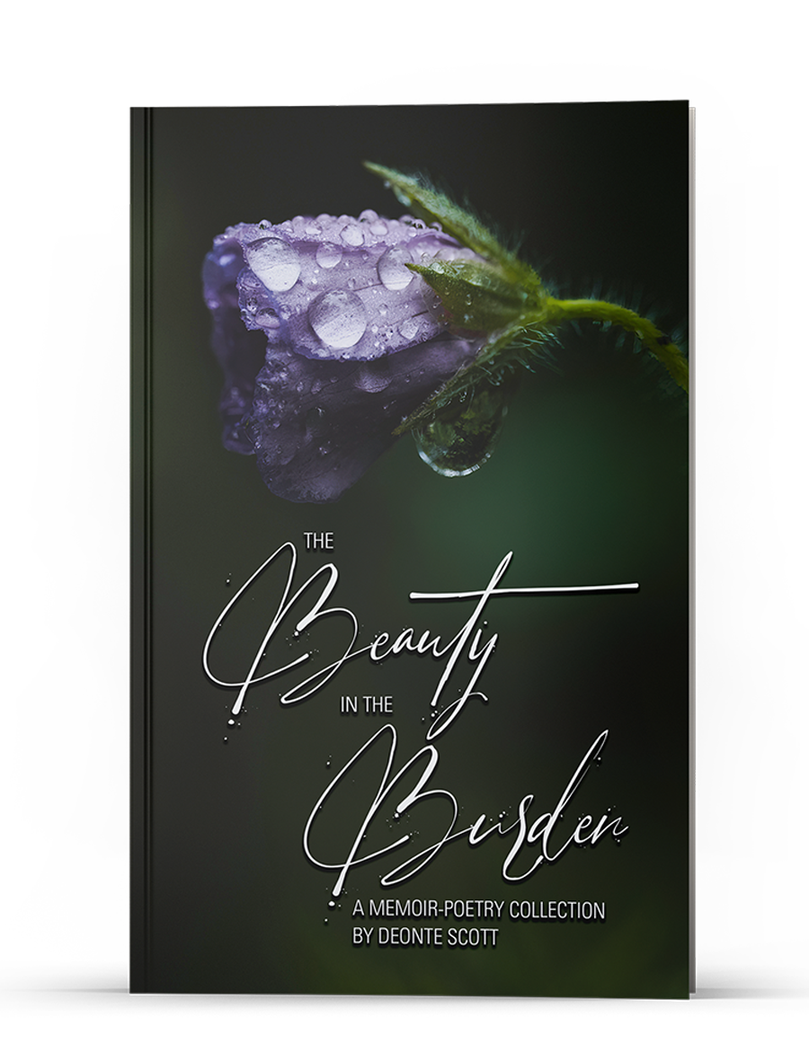 Book Cover The Beauty in the Burden